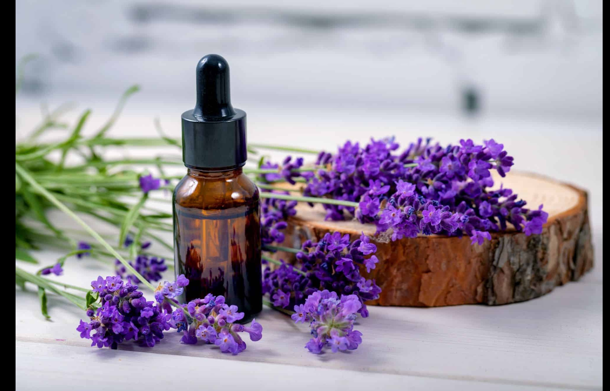 antioxidant properties