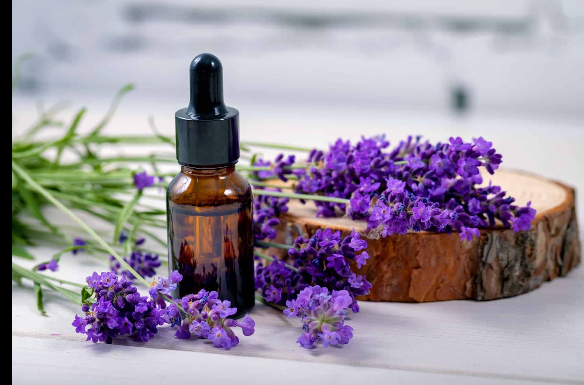 
Lavender essential oil is a p