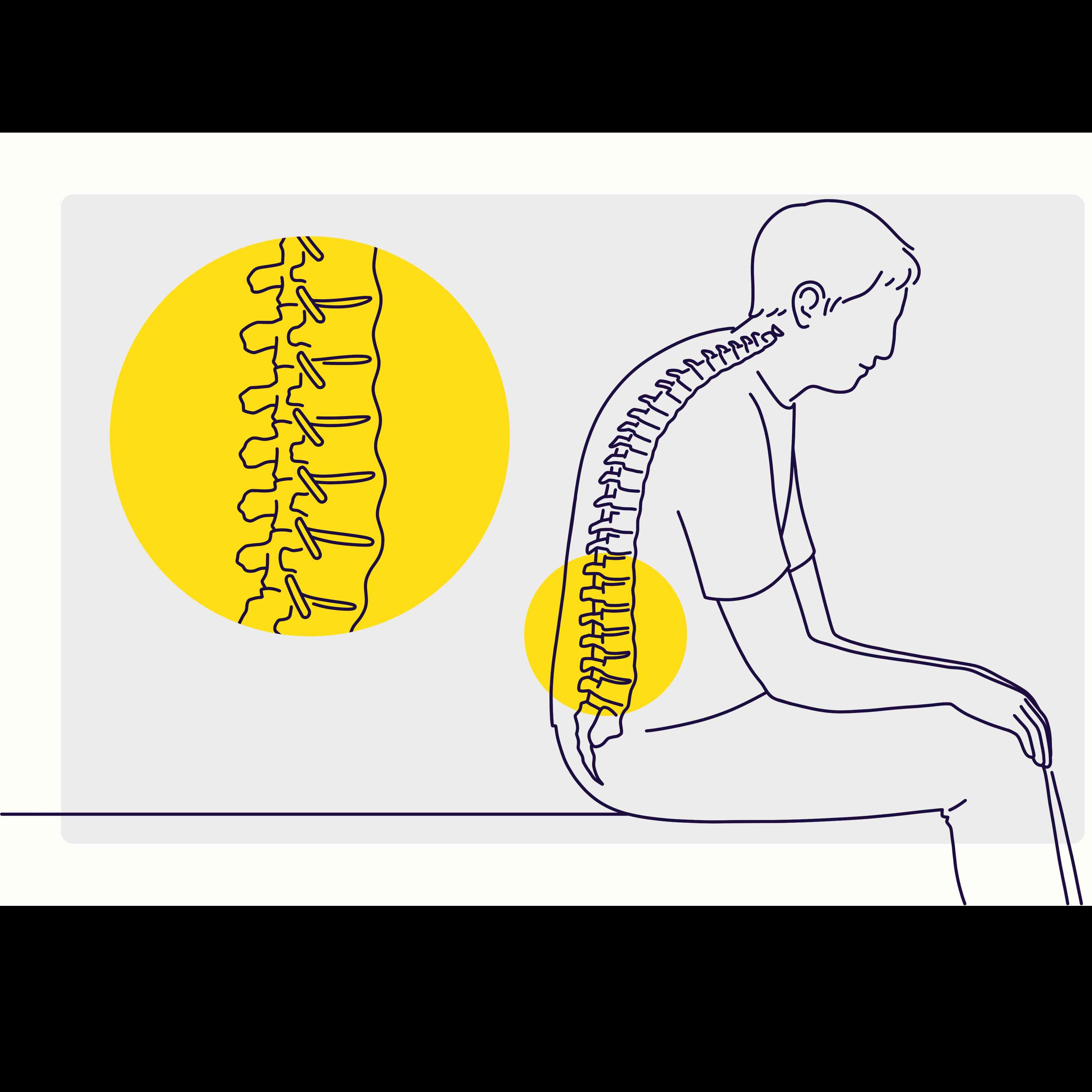 bamboo spine