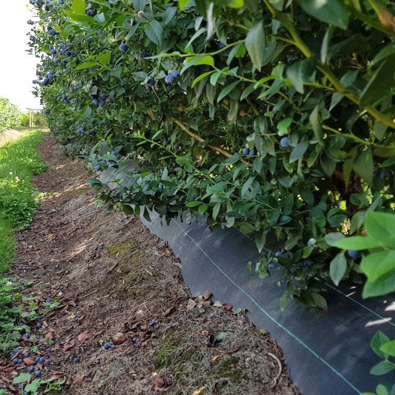 update image