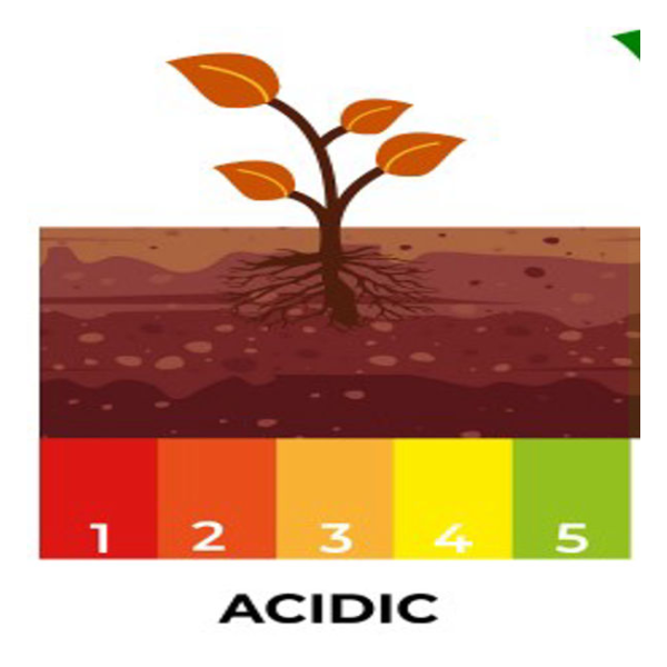 update image