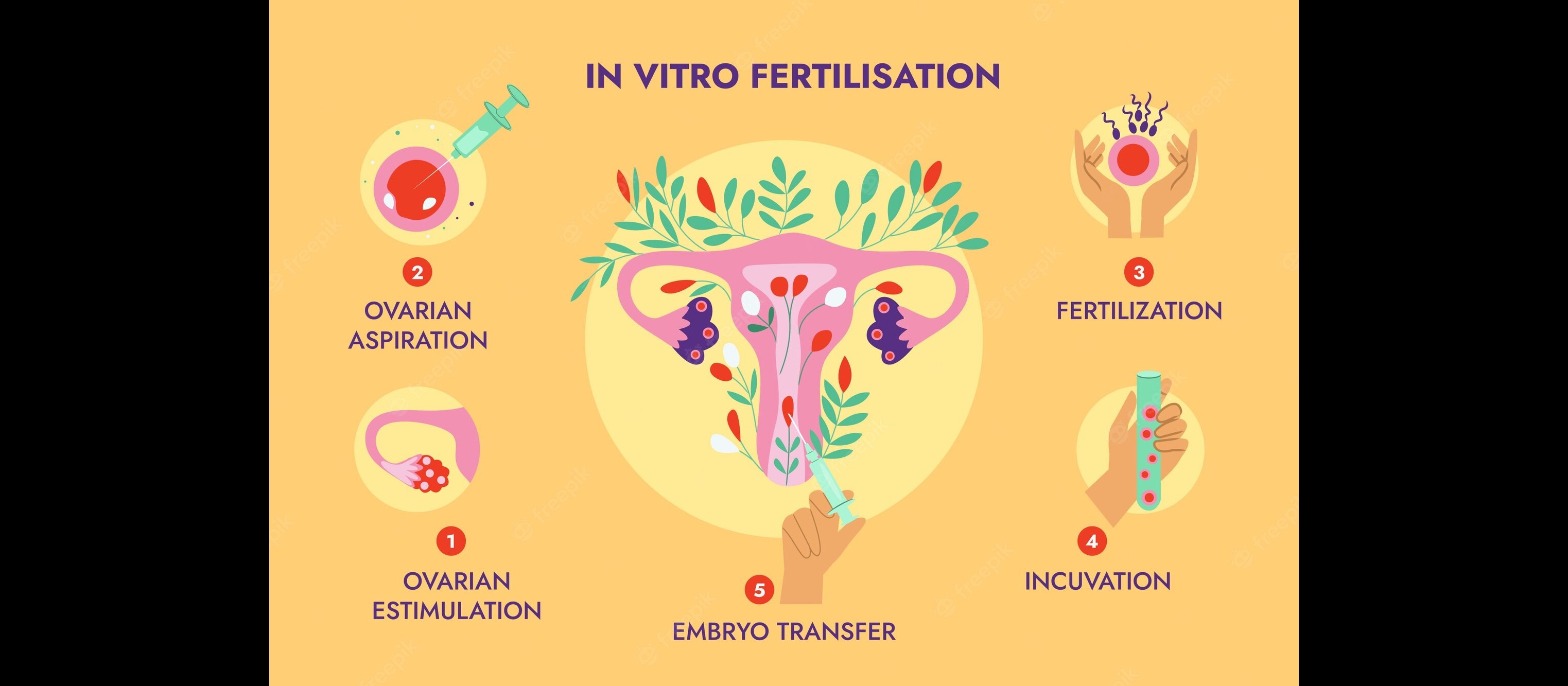 Looking for Gynecologist/IVF D
