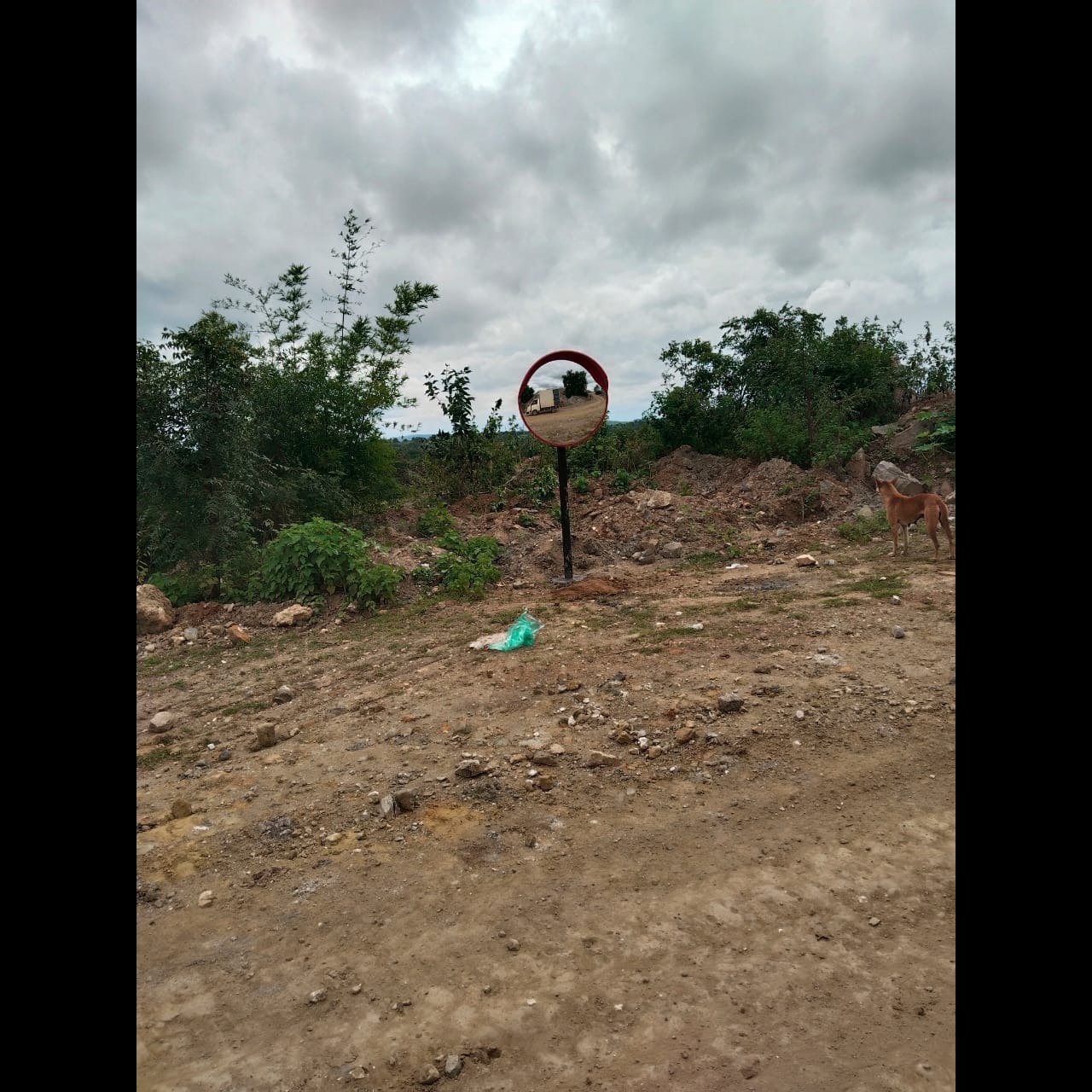 update image