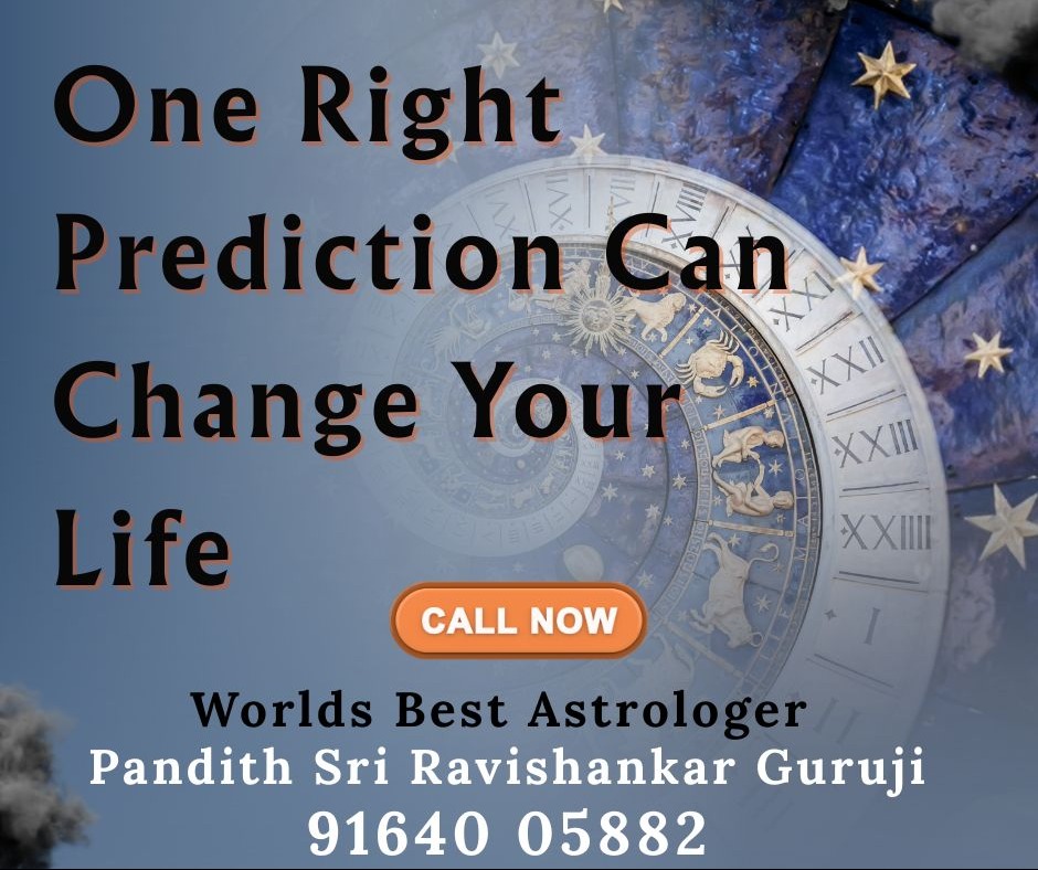 pandit ravishankar studies