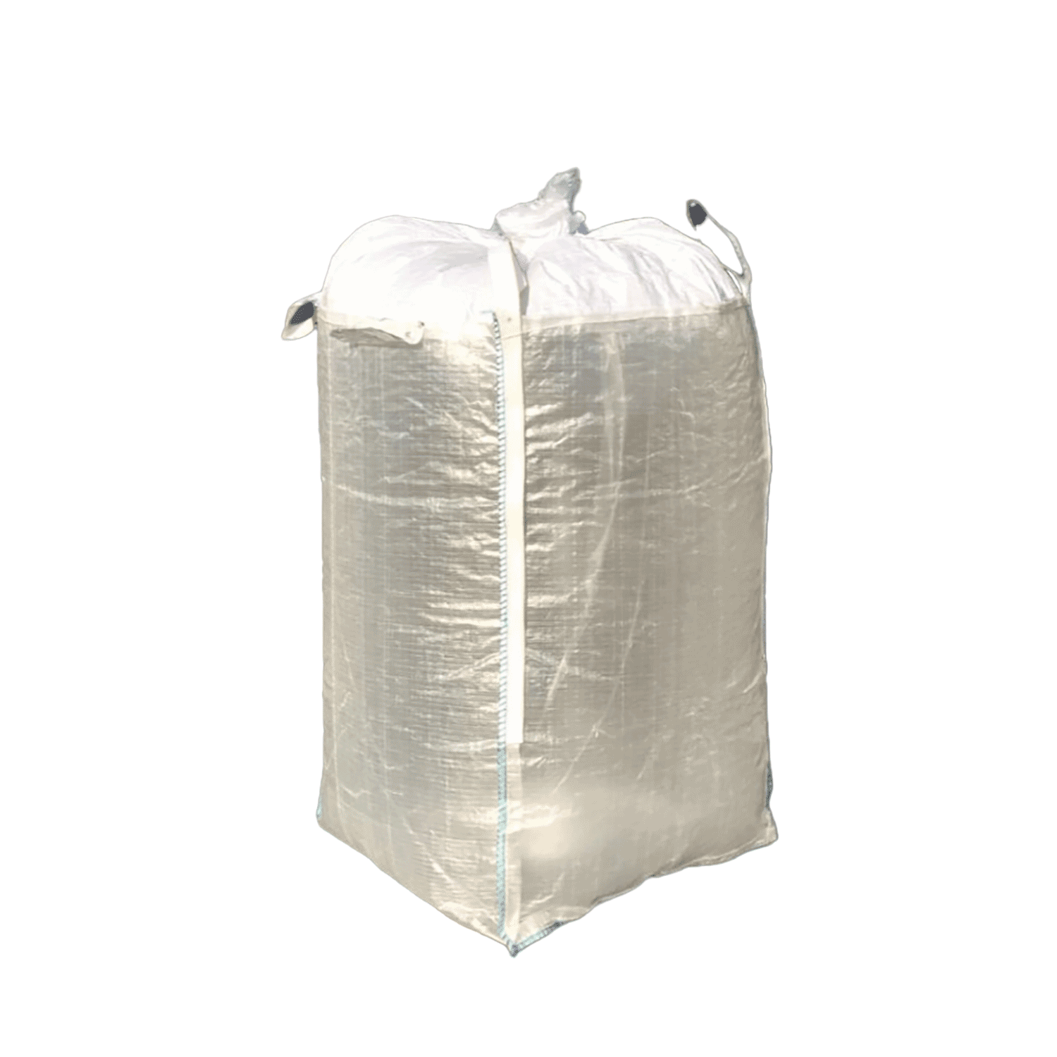 Transparent Bags