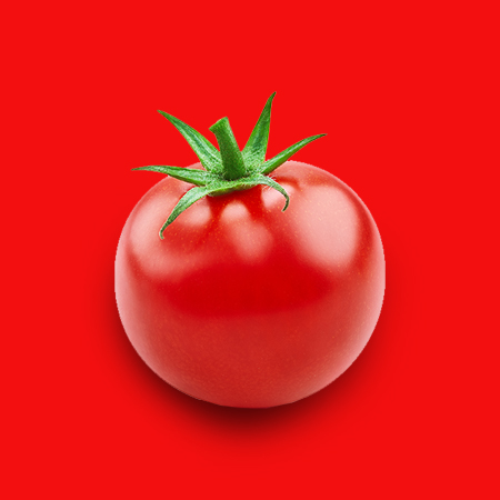 Tomato Paste