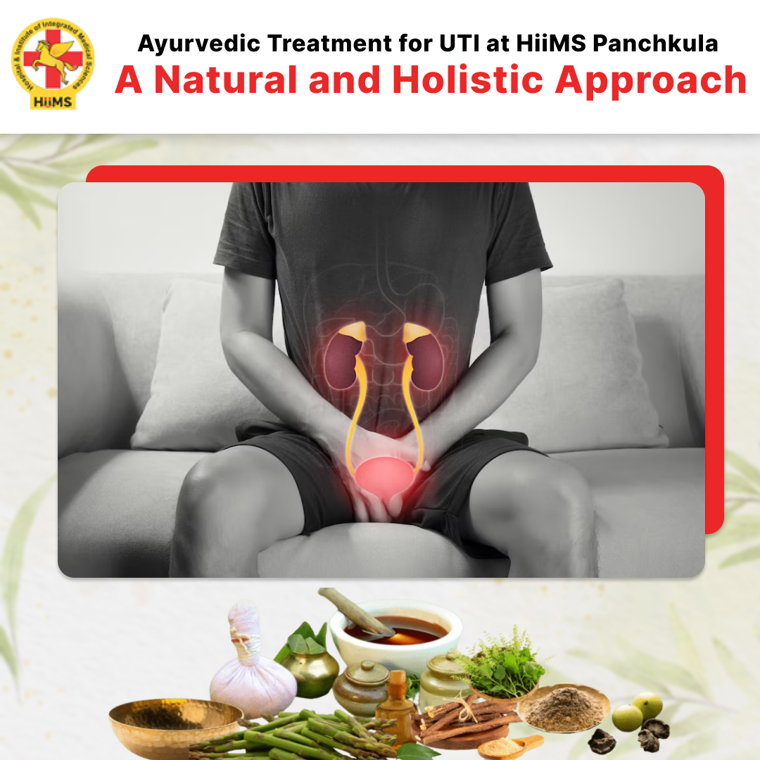 Ayurvedic Treatment for UTI at HiiMS Panchkula ... main image