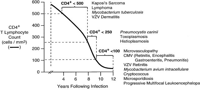 oppertunistic infections in hiv at different  cd4 ... main image
