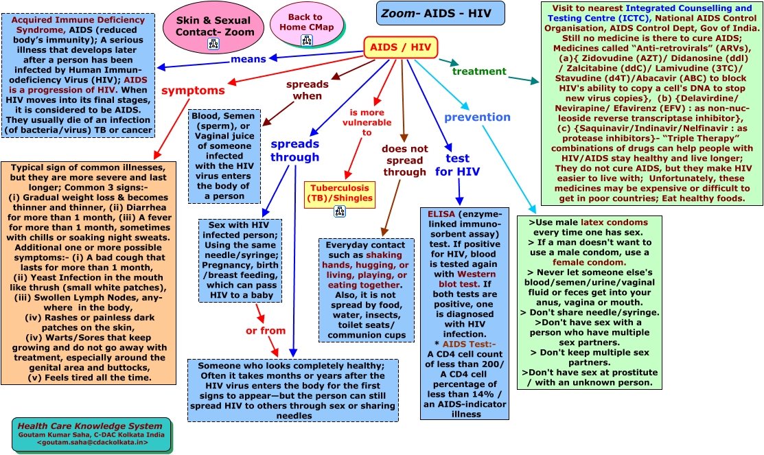 everything you need to  know about hiv main image