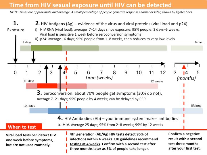 The  image shows when to get tested for hiv after ... main image