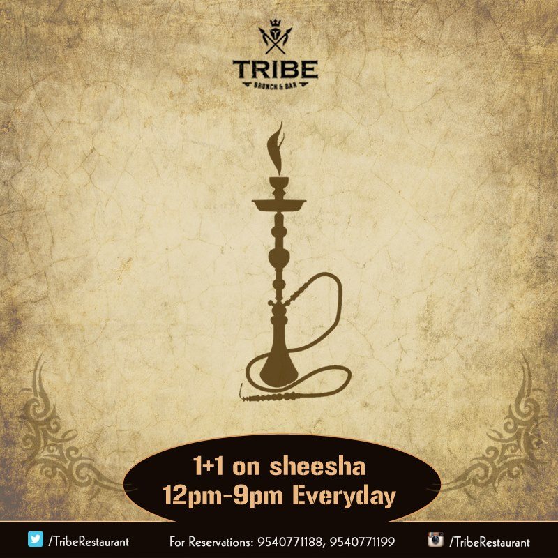 Tribe Brunch and bar