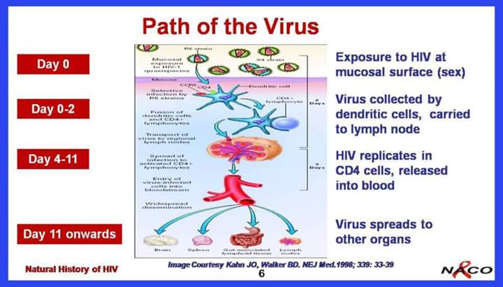 HOW HIV VIRUS ENTERS IN TO THE BODY AND SPREADS... main image