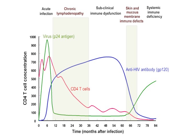 figure shows how cd4 declines with time in the abs... main image