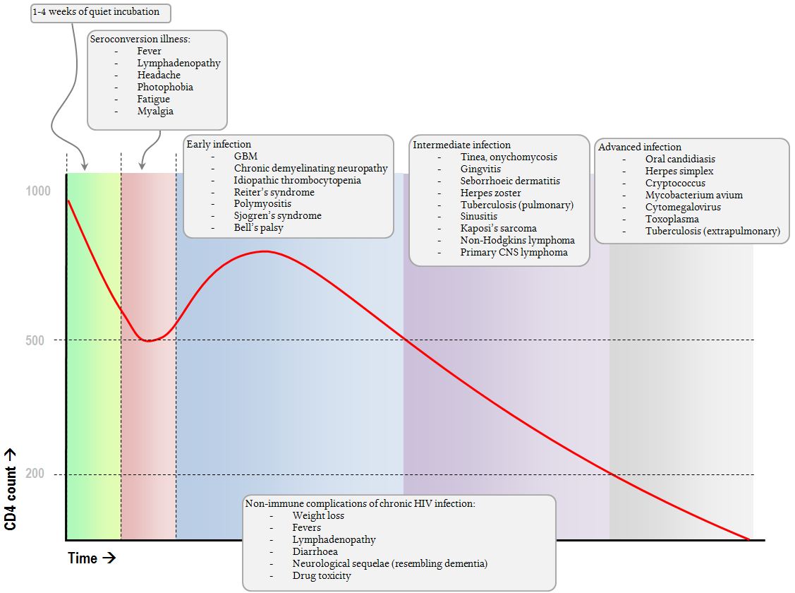with dropping CD4  counts there is high risk of... main image