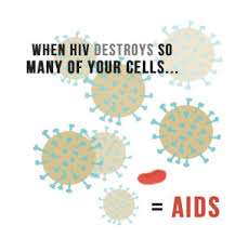 how hiv infects cd4 cells main image