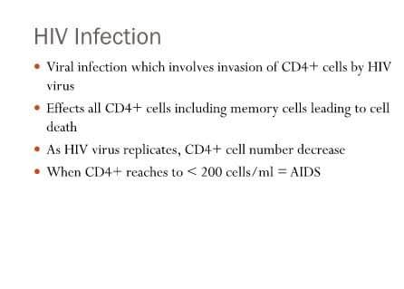 how hiv affects human  immune  system main image