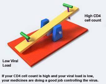 relationship between cd4 count and  viral load main image