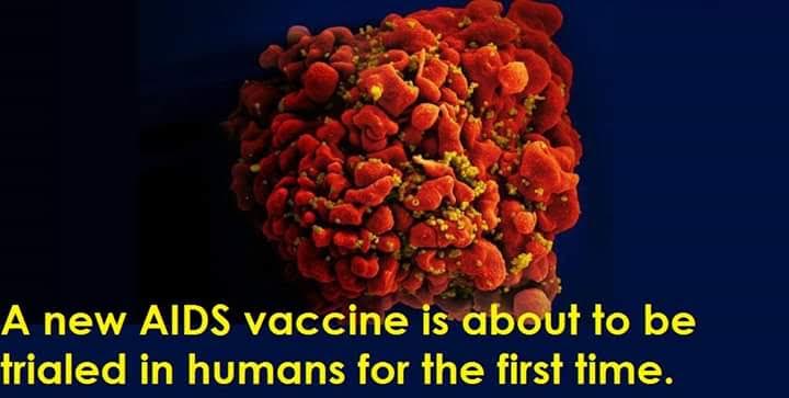 hiv cure is it possible?

http://crchum.chumont... main image