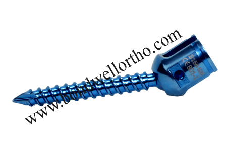 Product Name:- Poly