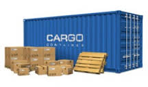 Domestic Courier Ser