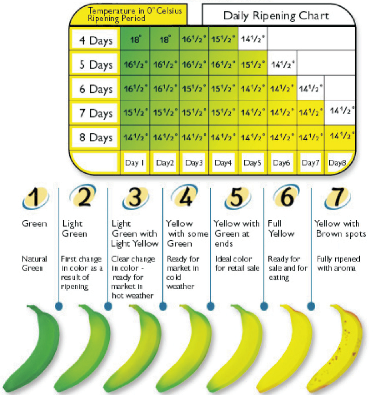 banana ripening colour chart from comfort technologies maximum banana ripening chart