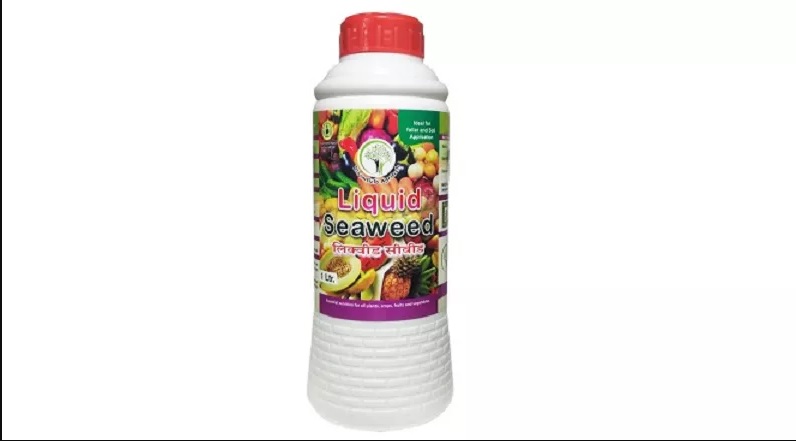 Silica (Organic)Si