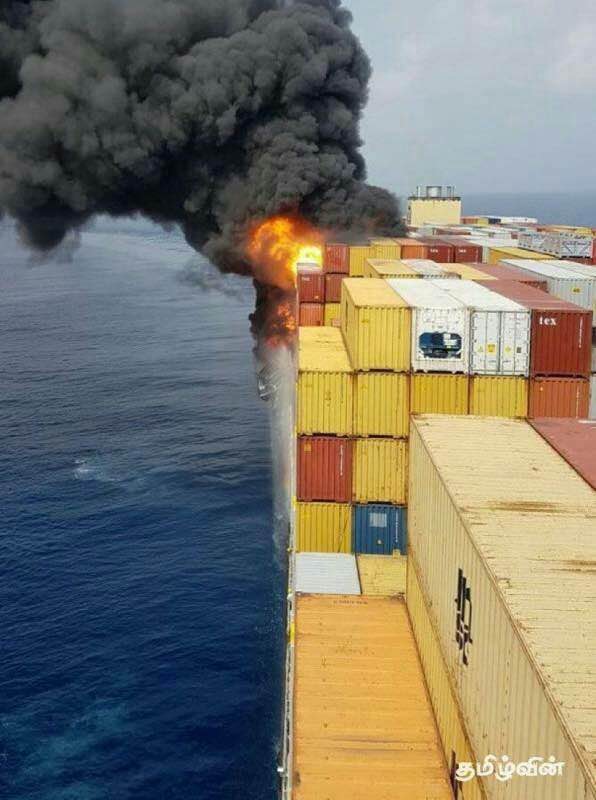 Container ship MSC D