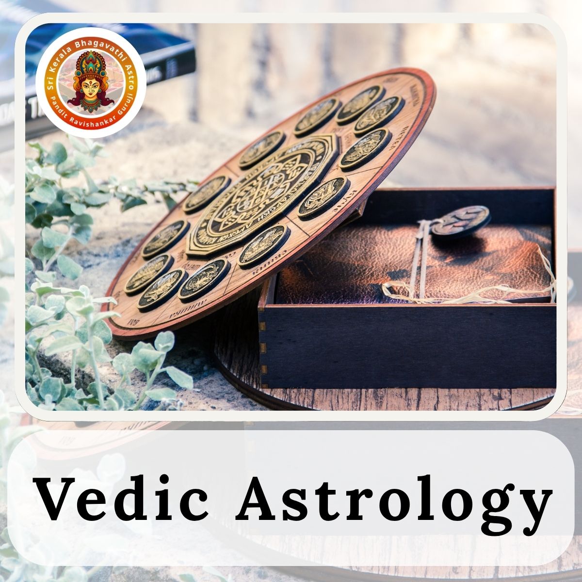 Vedic Astr