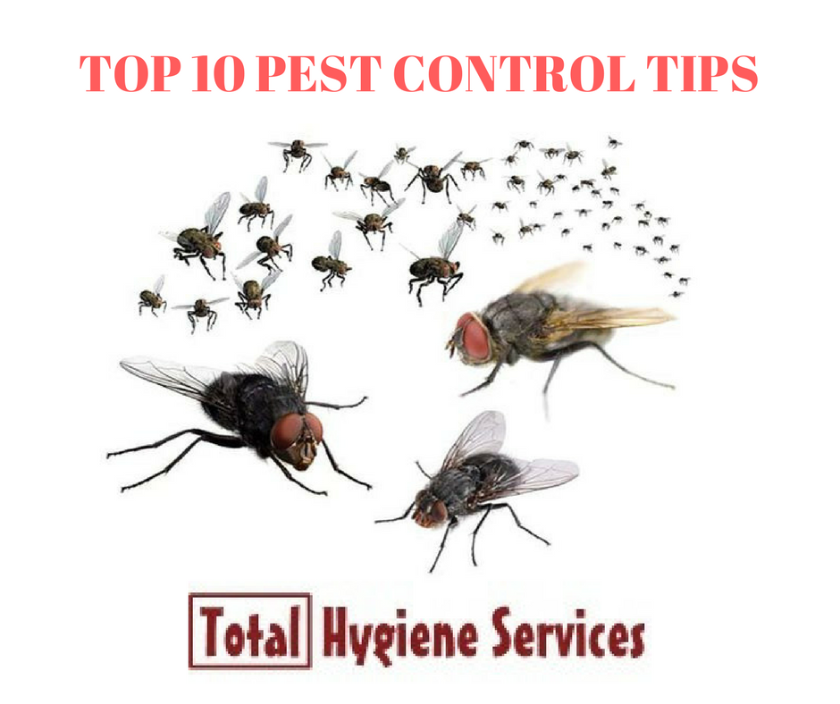 TOP 10 PEST CONTROL TIPS All pest animals an Total Hygiene Services