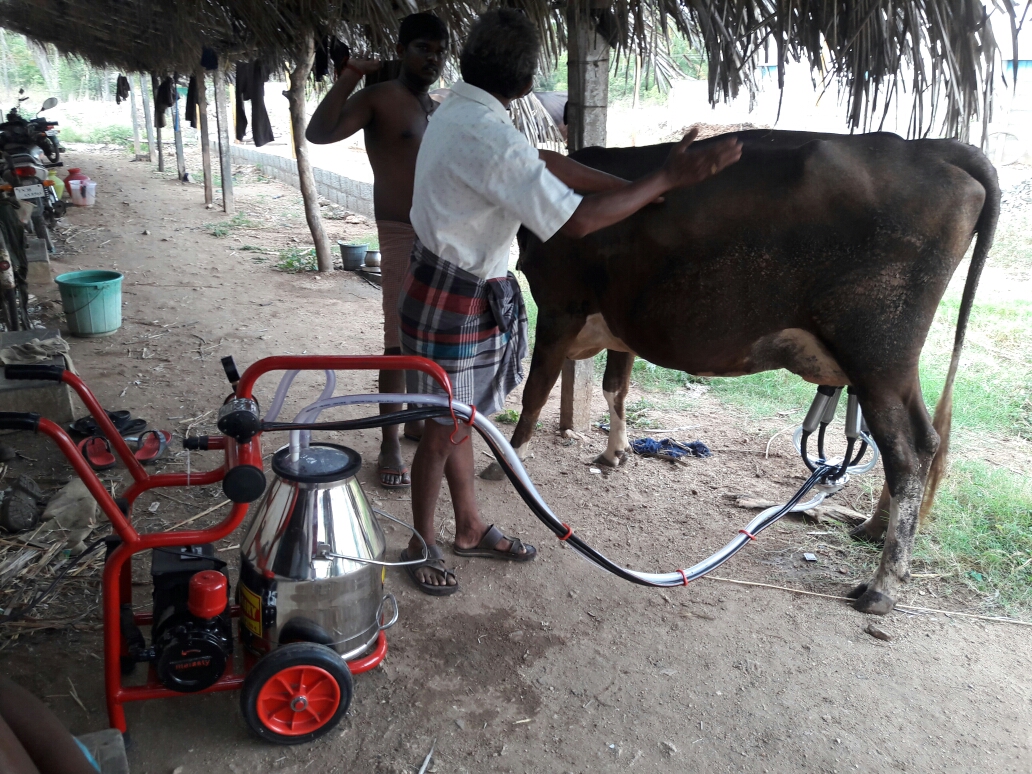 Cow Milking Machine Manufacturer In Coimbatore Shreem Dairy