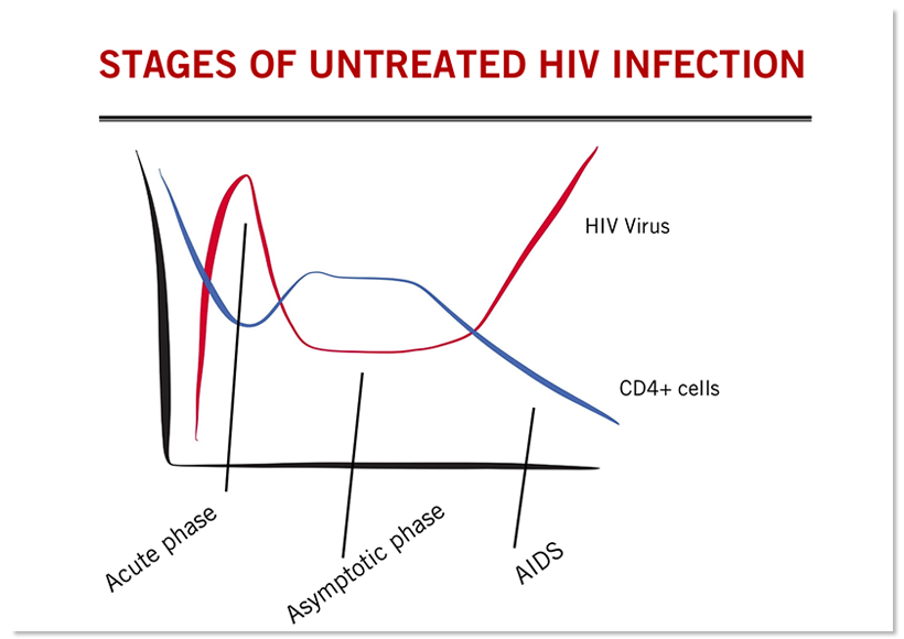 The figure shows how the cd4 count declines as ... main image