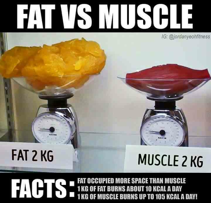 Know the facts about