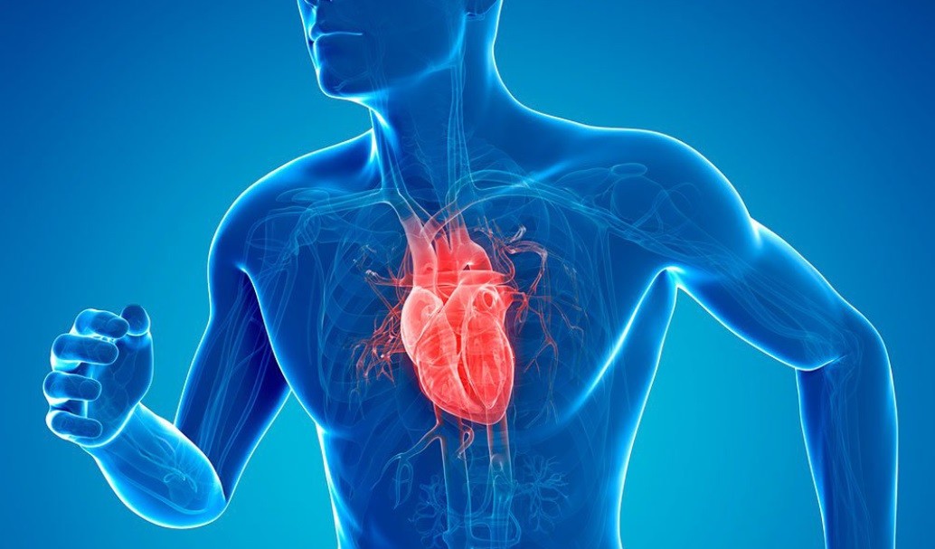 Heart Hospital In Ti