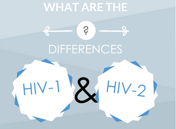 There are many differences between hiv 1 and  H... main image