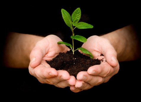 SAVE TREE CAMPAIGN B
