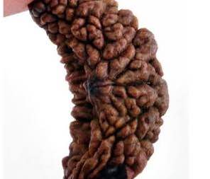 एक मुखी रु