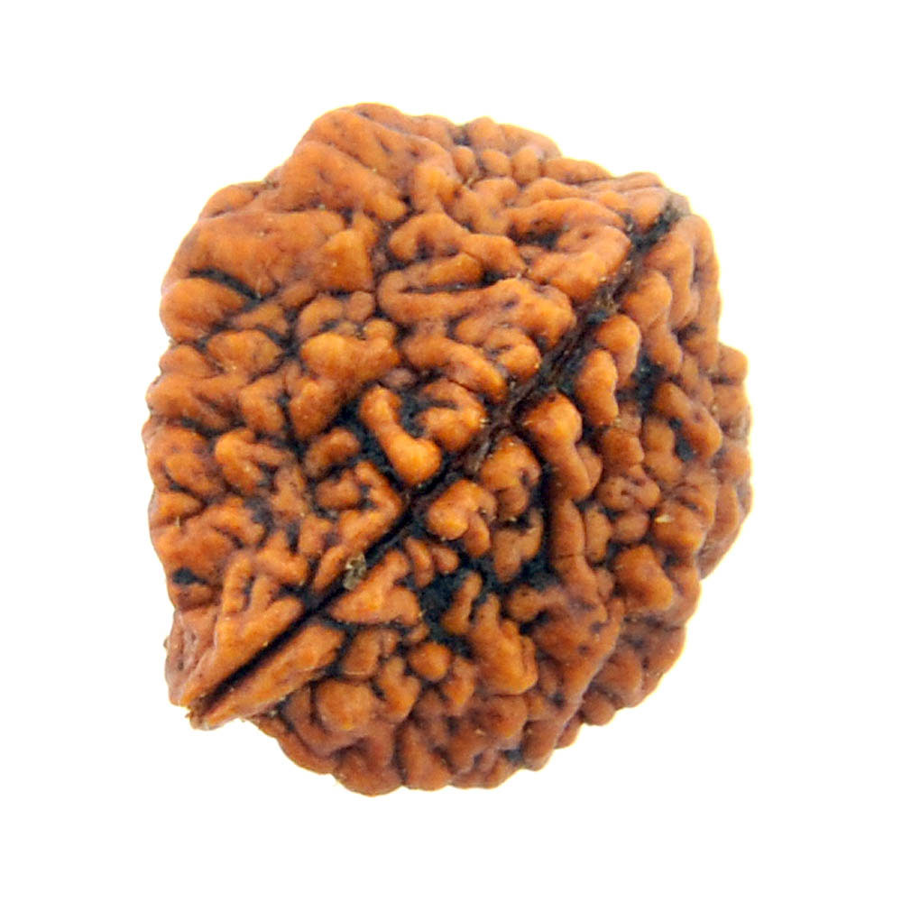 दो मुखी रु