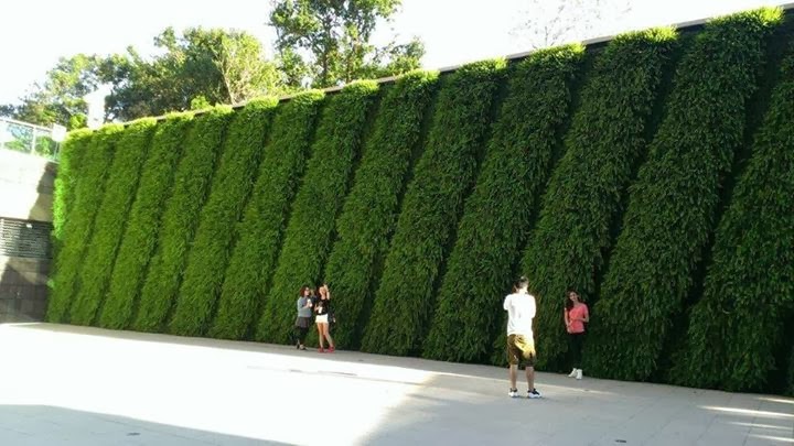 Artificial Grass for