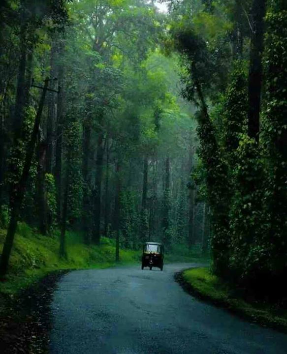 Coorg One Day Packag