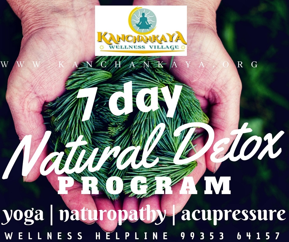 7 DAY NATURAL DETOX