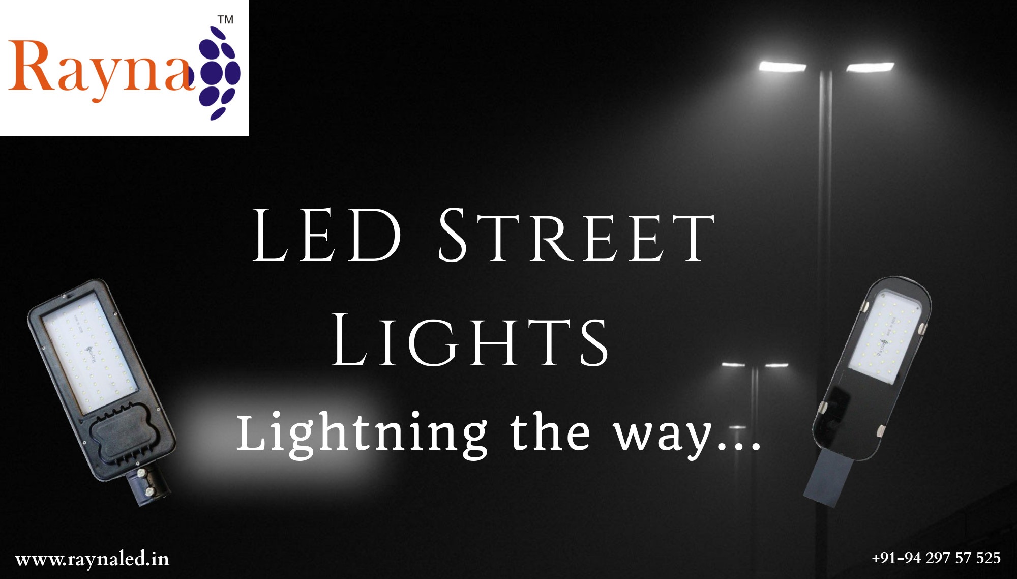 Rayna LED Street Lig