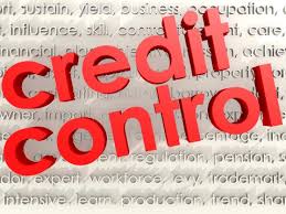 Best Credit Management Co