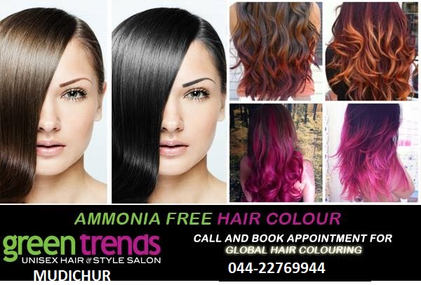 Green Trends Mudichur Colour Your Hair Withou Green Trends