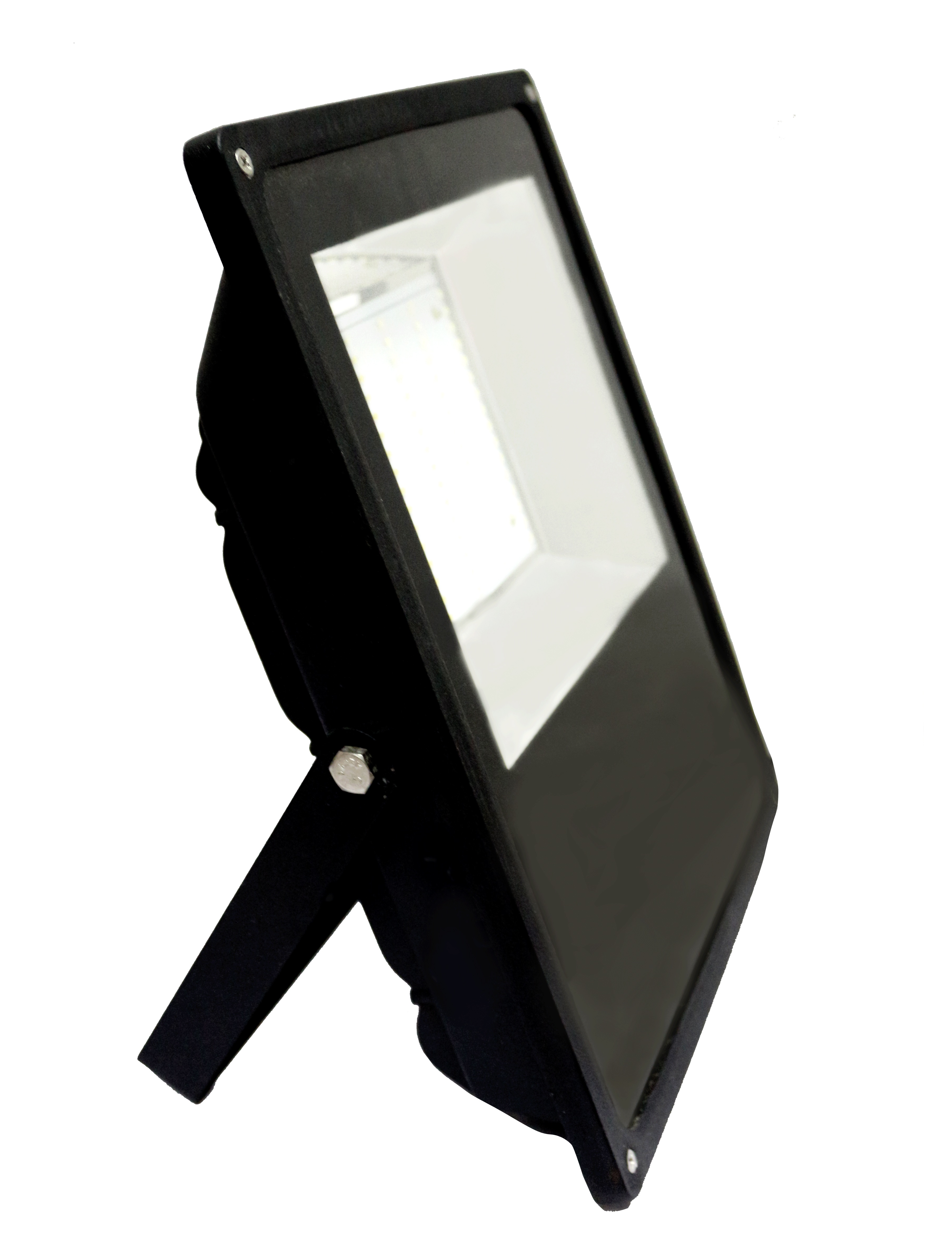 LED Flood Light Man