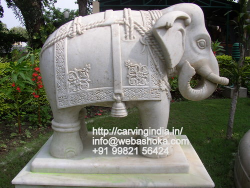ashoka exports offer