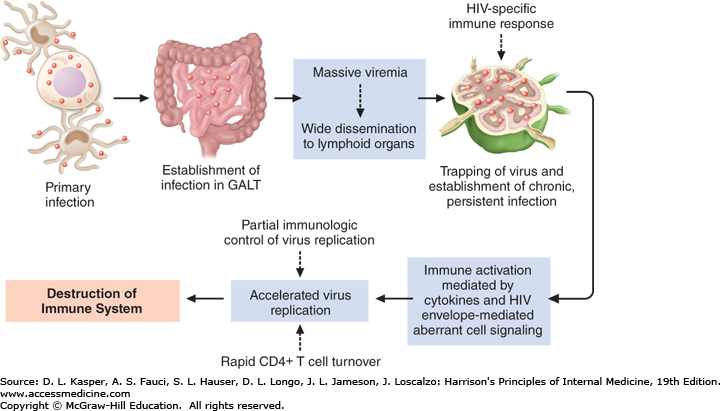 figure shows how hiv