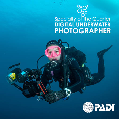 Padi Underwater Digi