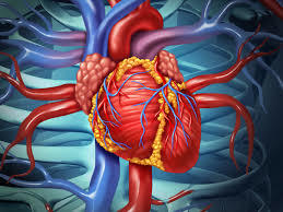 Are you finding Cardiology Hospital in PCMC, Ca... main image