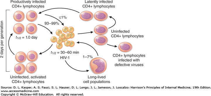 figure shows how hiv