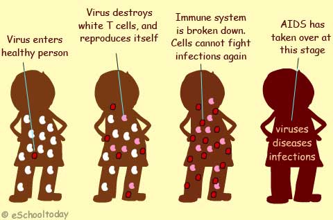 figure shows how hiv